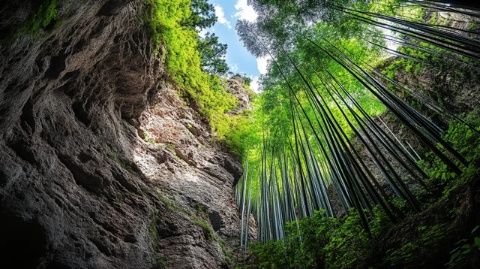 弋阳龟峰风景名胜区-弋阳龟峰风景名胜区旅游攻略