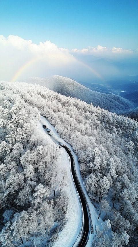 北方冬季自驾游线路推荐：雪境探秘之旅