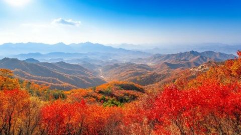 环秦岭自驾游指南: 4条经典线路探索西北美景