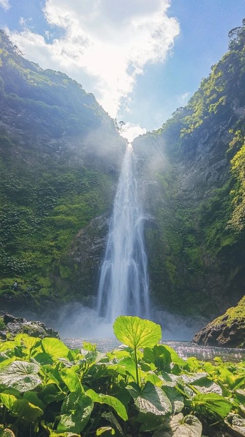 探索齐山：详尽旅游指南，不容错过的风景胜地