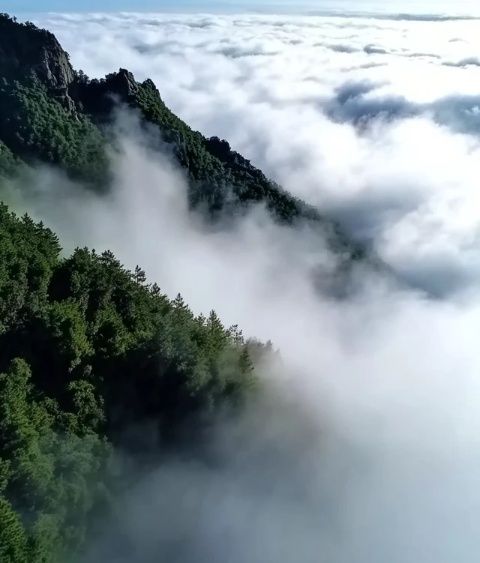 探索春天的秘境：赣州龙南小武当山景区旅游攻略