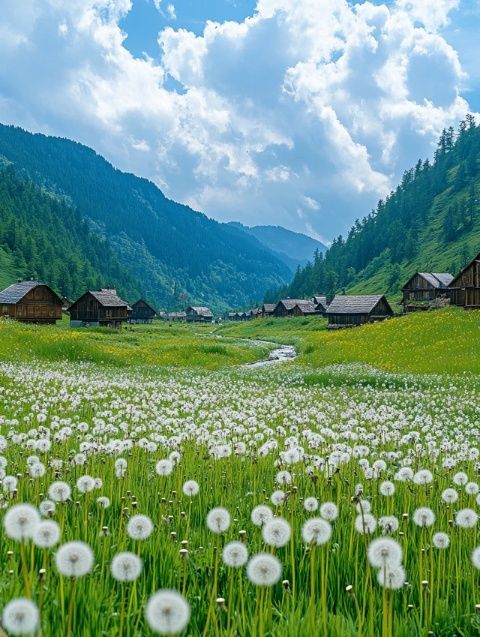 西藏的旅行总是充满了神秘与美丽，但有些地方却让人感到无奈