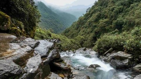 探索林芝：必去景点与旅游攻略推荐