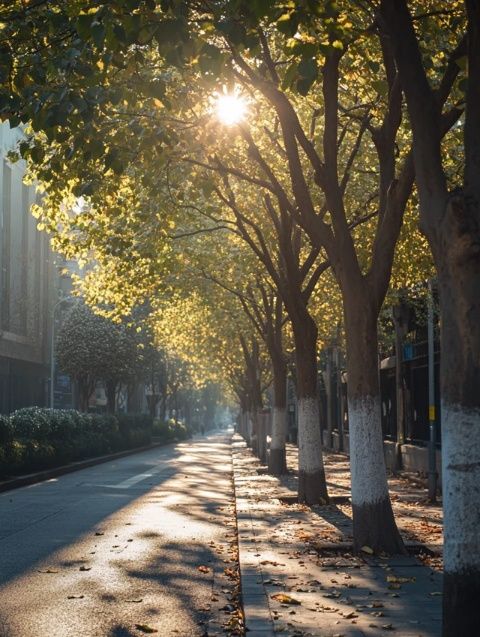 今天的大美中国，让我们一起走进安徽宣城,一起去探寻这座城市的特色街巷、景点