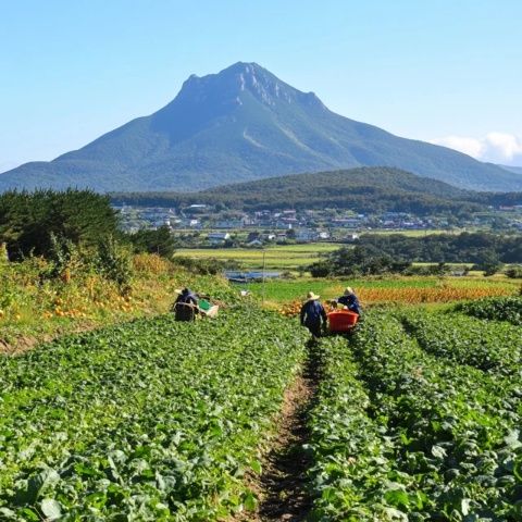 韩国济州岛旅游攻略 韩国九月旅游攻略