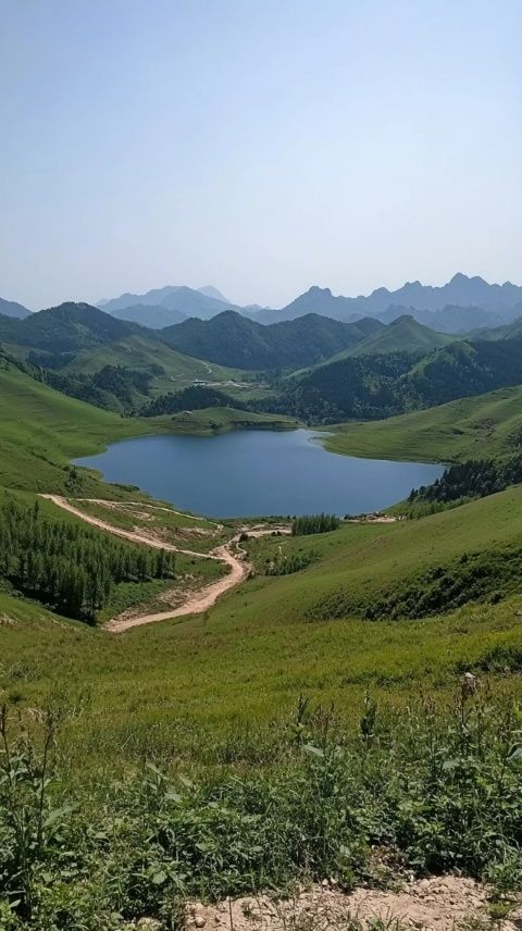 浙江龙游县两日美食与美景攻略：带狗旅行的理想之地