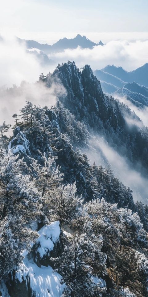 新年首站华山之旅