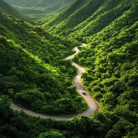 海南热带雨林国家公园环线旅游公路精华景点推荐