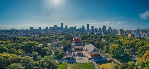 盐城八大必游景点攻略,让旅程充满惊喜!