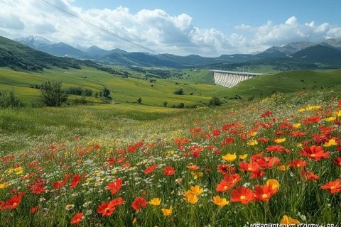 青岛大珠山：春暖花开的美景等你来看