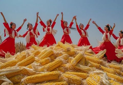 北疆文化寻迹青城—呼和浩特文化旅游系列口袋书和遇见青城