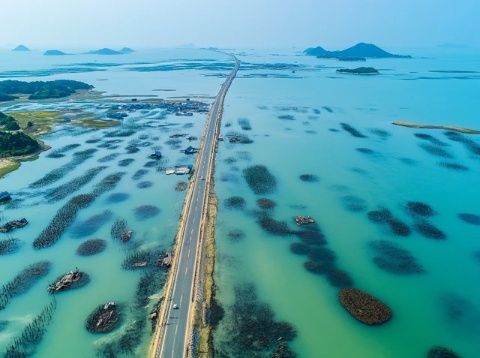 广东庙湾岛旅游攻略：浮潜探险与绝美日落之旅