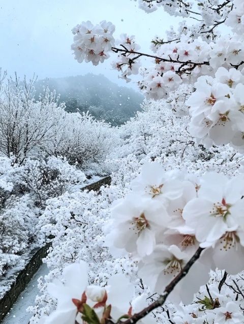 伊春冬季旅游一站式攻略-伊春旅游攻略三天