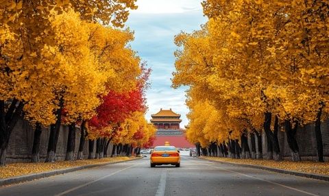 北京四季旅游攻略：春赏花秋观景，各季魅力独特