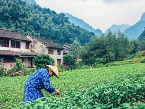 东北女子浙游记:情感之旅与美食探索