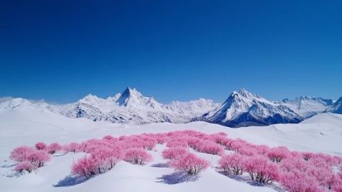 玉龙雪山旅游攻略行前必看雪山游玩全指南