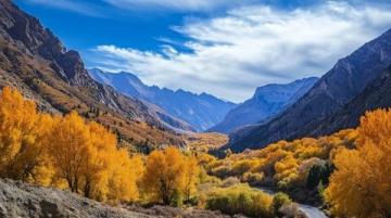 张掖大峡谷秋季旅游攻略：赏美景、拍美照、品美食，一次完美的旅行体验