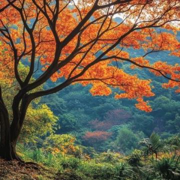 合阳洽川风景区：集自然风光、历史文化、民俗风情于一体的旅游圣地