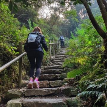 帽峰山一日游攻略：畅享森林之旅