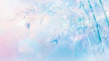 冬日宜兴竹海:雪花落在青翠的竹林中