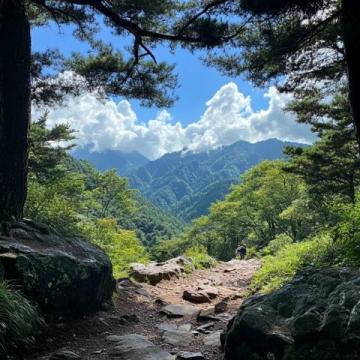 牛首山游玩攻略避开雷区指南