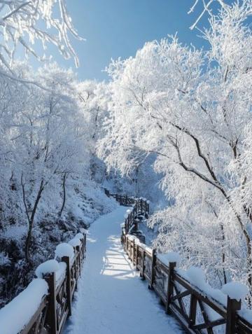 探索冬季仙境：四川九寨沟与黄龙的冰雪之旅