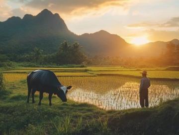 农村人旅游观念之思——经济条件与生活观念是阻碍原因