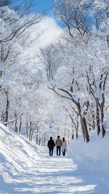 日本北海道旅游指南及跟团攻略