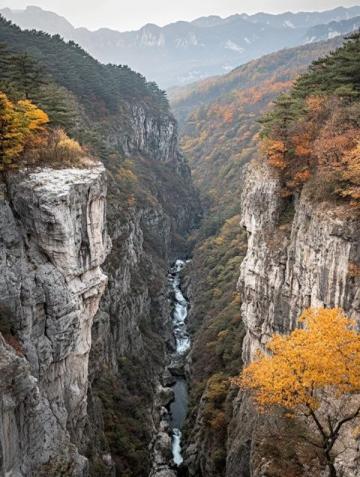 福建武夷山3月旅游指南：攻略、交通与住宿推荐