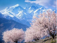 春季是中国旅游的黄金季节，气候宜人，景色优美