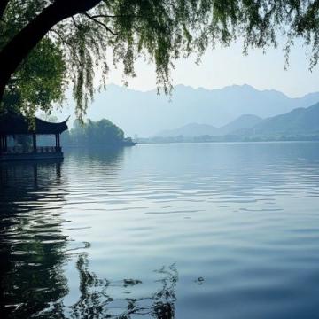 单县浮龙湖：江北西湖的生态与人文之旅