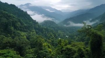 湖南郴州旅行全指南|神话景点大揭露！此生必去的秘境小镇；