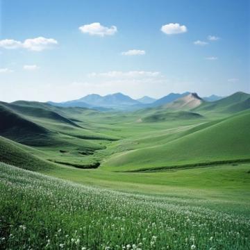 五一假期去呼伦贝尔旅游合适吗？