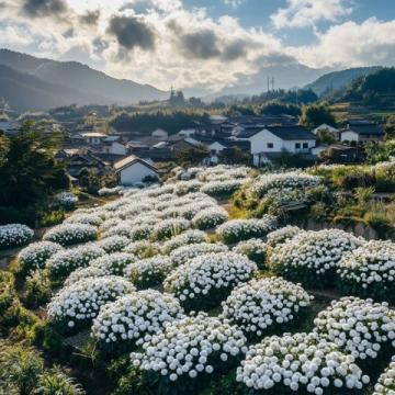 大理旅游什么季节最适宜？