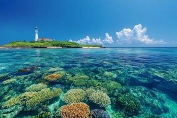 海南呆呆岛潜水(海南分界洲岛游珊瑚岛海底潜水潜水景点呆呆岛潜水景区国内小)