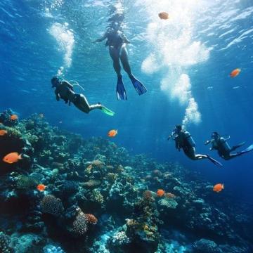 海南呆呆岛潜水(海南分界洲岛游珊瑚岛海底潜水潜水景点呆呆岛潜水景区国内小)