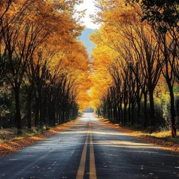 京郊自驾赏秋景，美景如画在路上