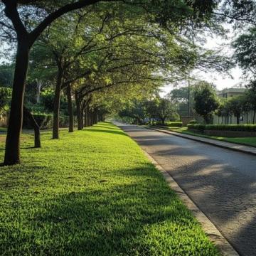 探索南非花园大道：一场难忘的自驾之旅