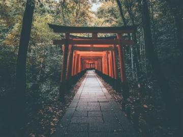 探索古韵:京都、大阪、奈良之旅(第一部分)